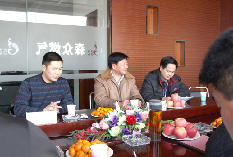 林口县政府与常州昊辰科技艺术展览有限公司燃气项目洽谈.png